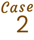 Case 02